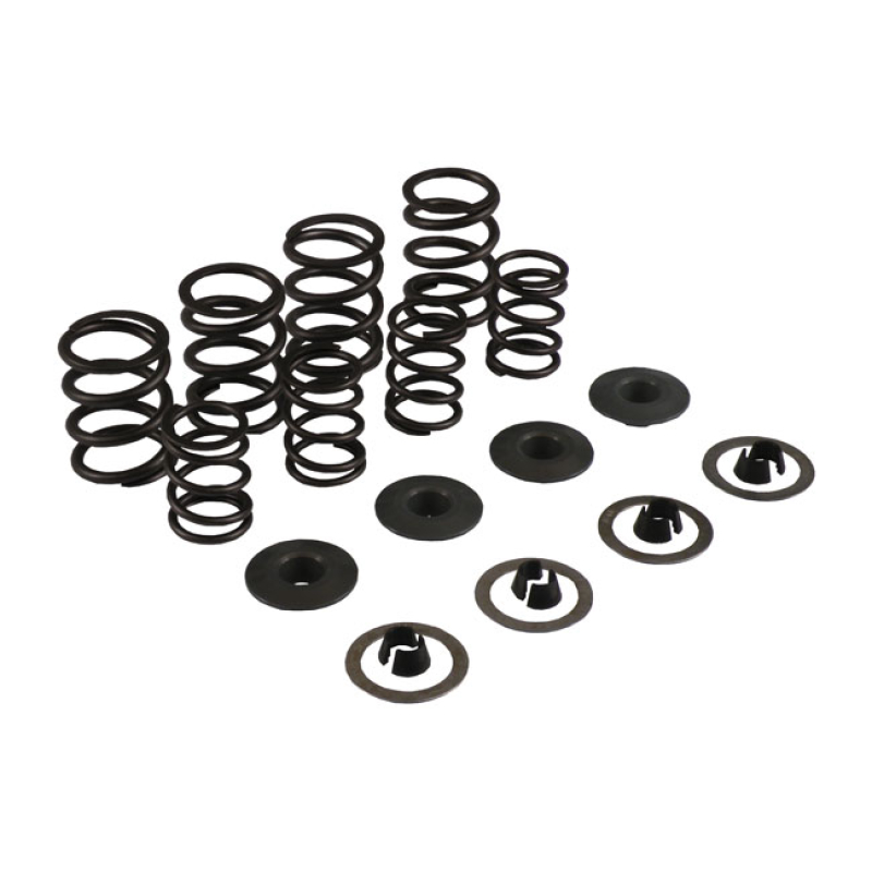 KPMI KNUCKLE VALVE SPRING KIT, .460 LIFT 524452