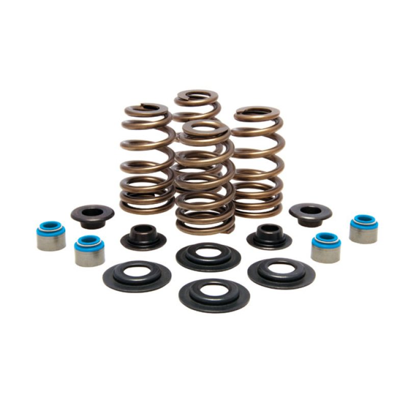 KPMI, BEEHIVE VALVE SPRING KIT. STEEL. .610" LIFT 524624