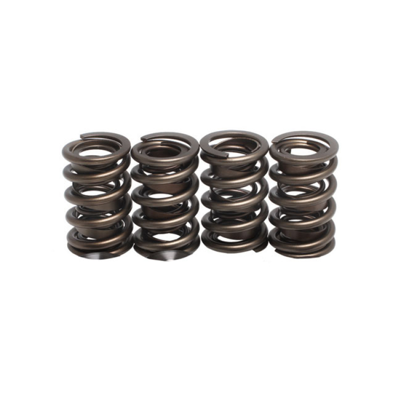 KPMI, REPL. VALVE SPRINGS 524996