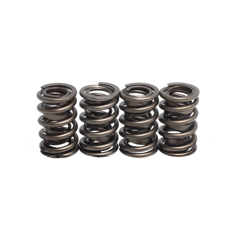 KPMI, REPL. VALVE SPRINGS 524998