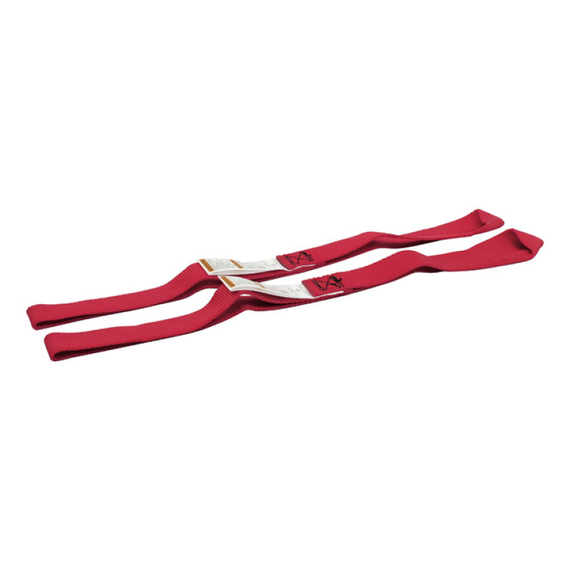 ANCRA, SOFT HOOK TIE-DOWN EXTENSION SET 532531