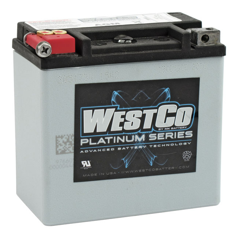 WESTCO, SEALED AGM BATTERY. 12V, 12AH, 220CCA HIGH QUALITY AGM (ABSORB 558011