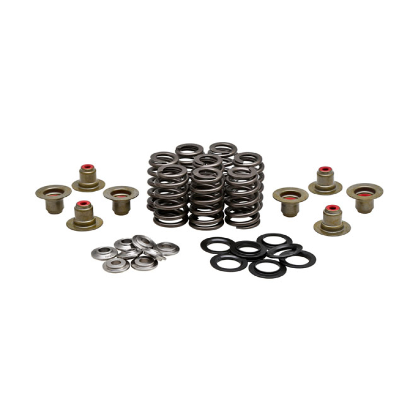 KPMI, .550" HIGH LIFT VALVE SPRING KIT. TITANIUM 588695