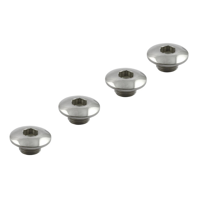 STREETHOGS, ROCKER SHAFT END PLUG SET 900873