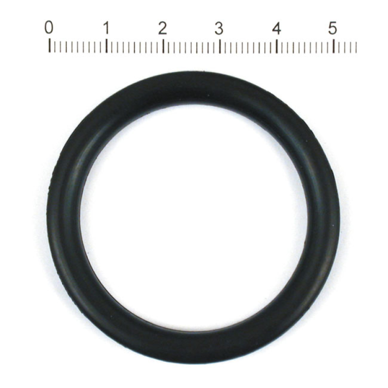 GASKET, FILLER CAP 910985