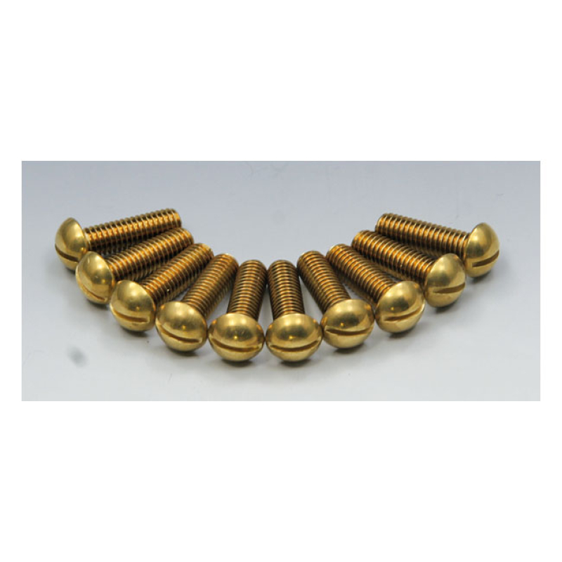 EASYRIDERS BRASS SLOTTED BOLT SET 961722