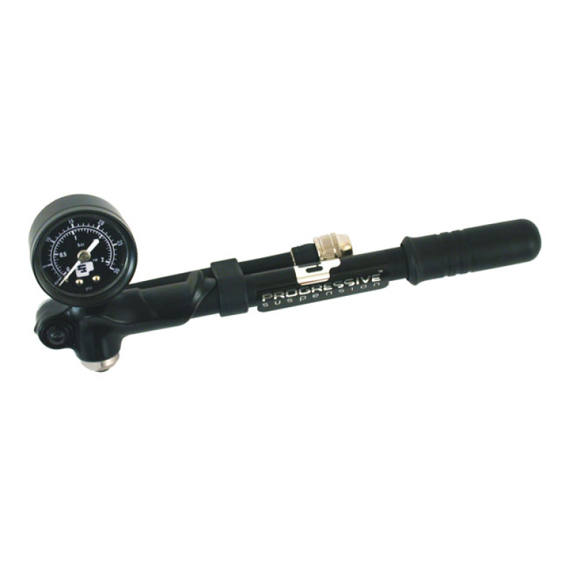 PS, GAUGE MOUNTED PUMP 0-30PSI 974176