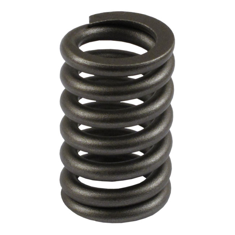 REBOUND SPRING, 39MM TUBES 509874