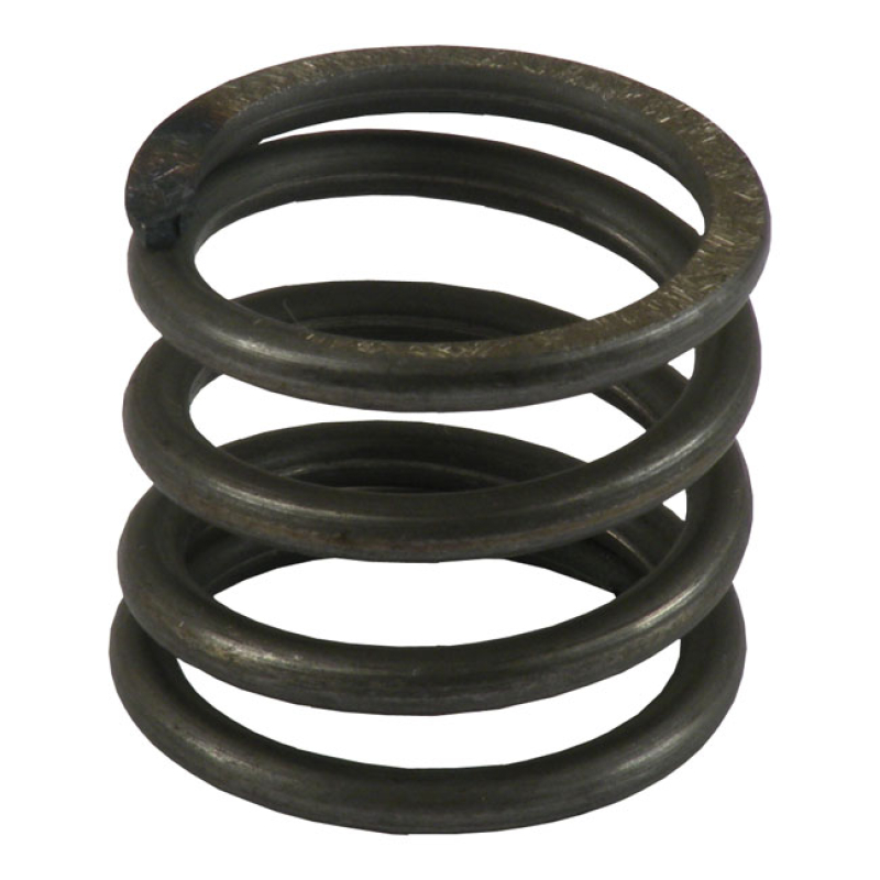 REBOUND SPRING, FORK TUBE 509875