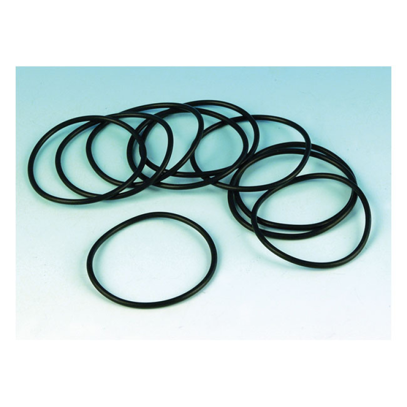 JAMES O-RING, OIL PUMP HOUSING 510713