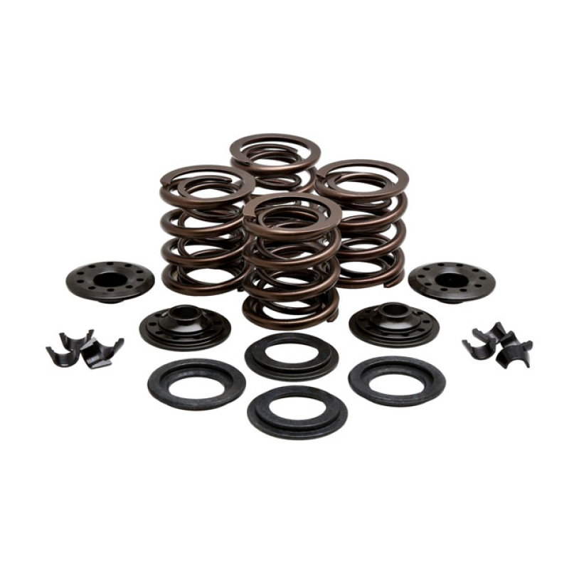 KPMI KNUCKLHEAD VALVE SPRING KIT 524459