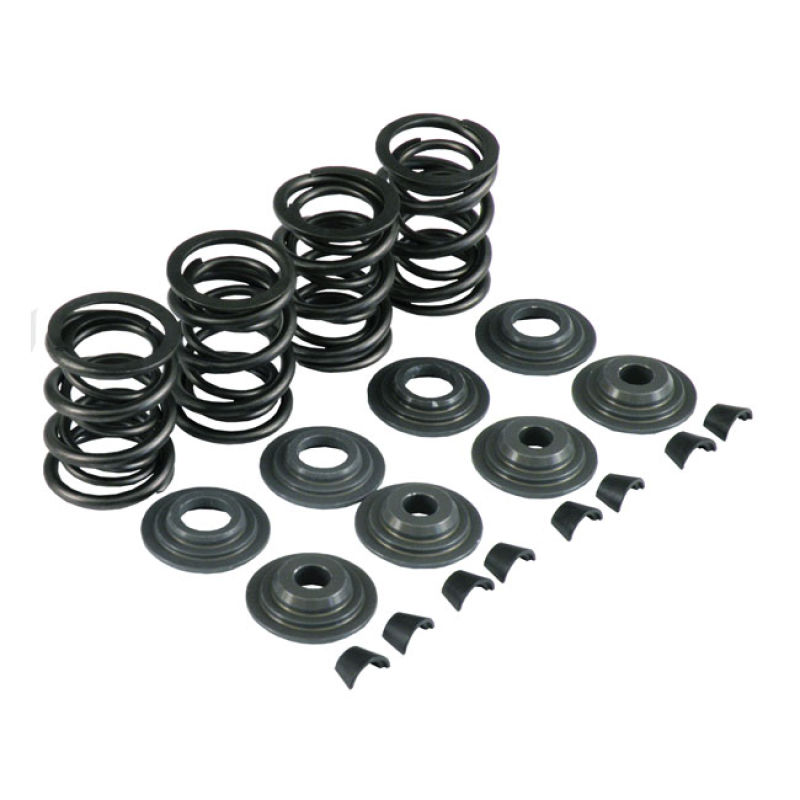 KPMI VALVE SPRING KIT .480 LIFT 524468