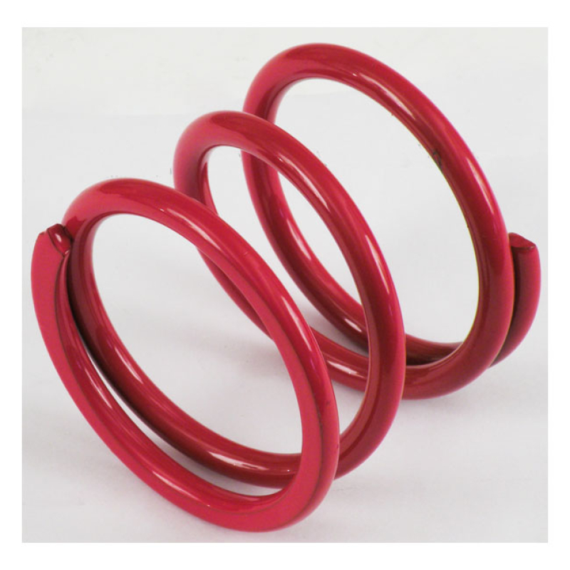 KPMI CLUTCH SPRINGS 524570