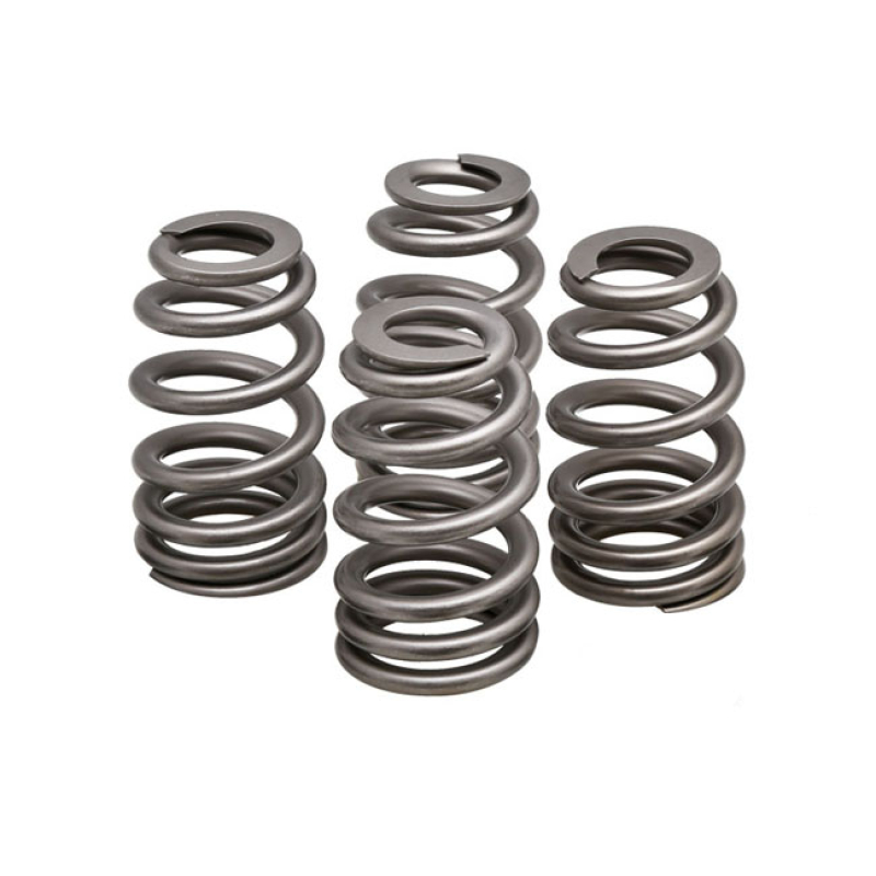 KPMI, REPL. VALVE SPRINGS 525441