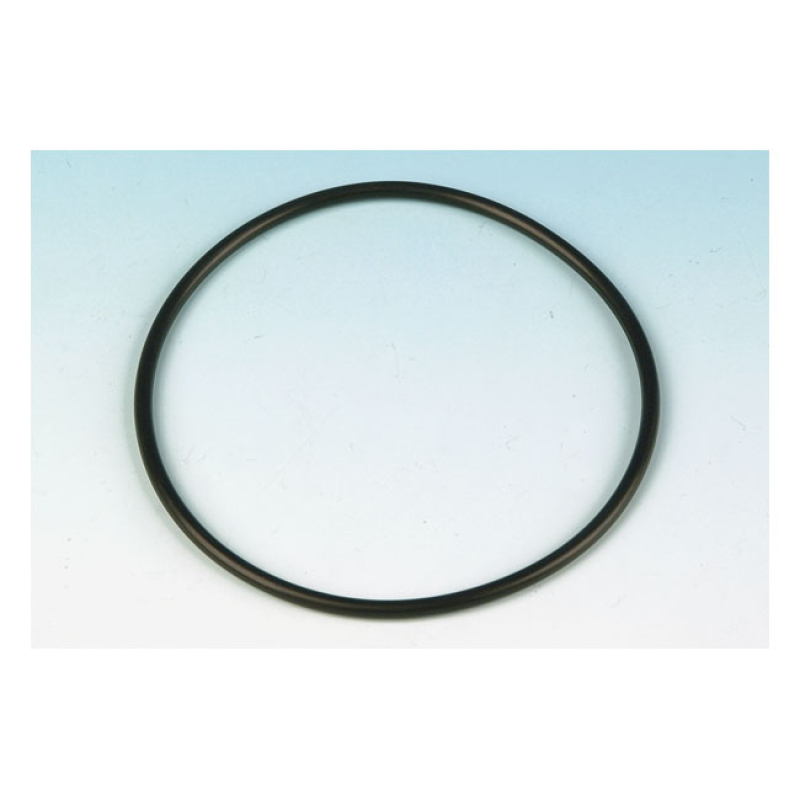 JAMES O-RING, STARTER HOUSING 526065