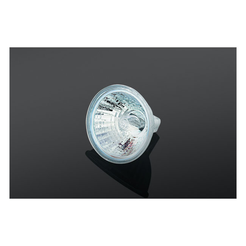 KURYAKYN LARGE 20 WATT HALOGEN BULB 544178