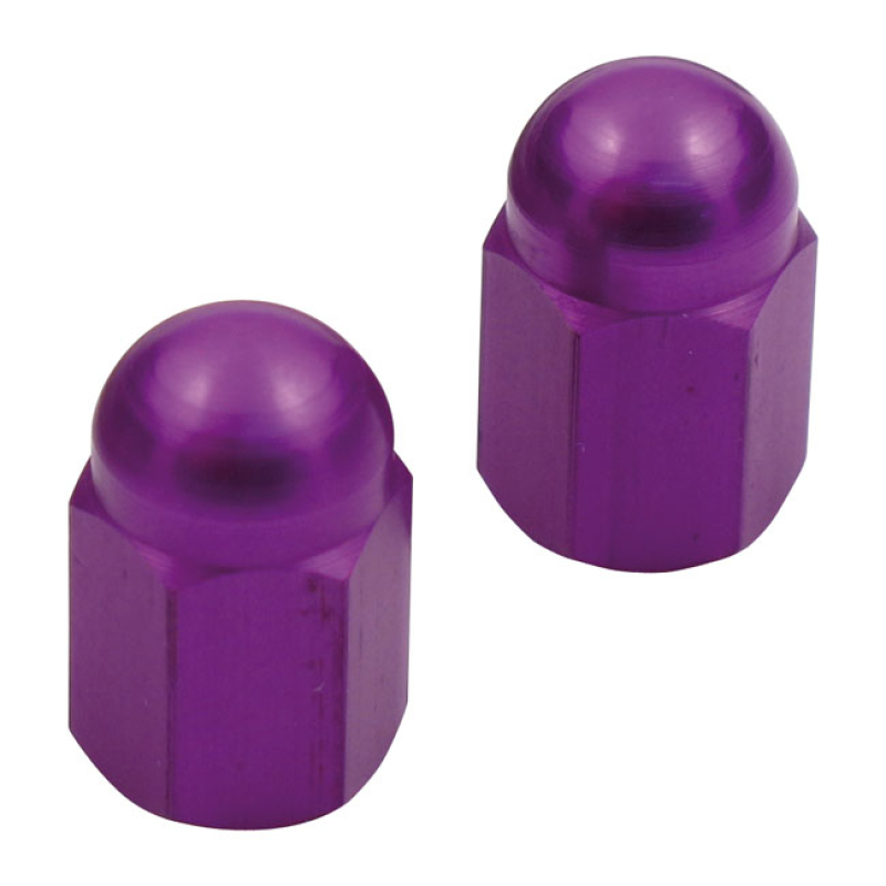 BARNETT, ALUMINUM VALVE STEM CAP PURPLE 570868