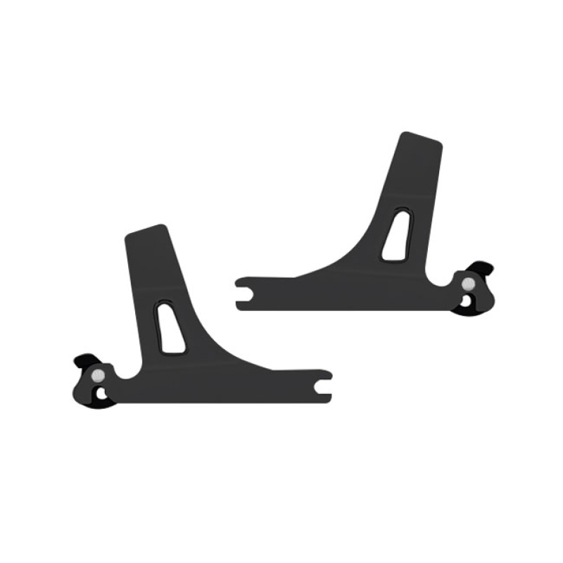 DETACHABLE SISSY BAR SIDE PLATES 572164