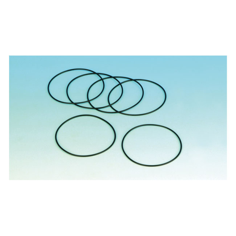 O-RING, TURN SIGNAL LENS 580260