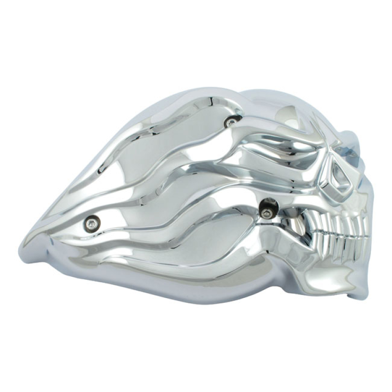 SKULL, AIR CLEANER ASSEMBLY 903974