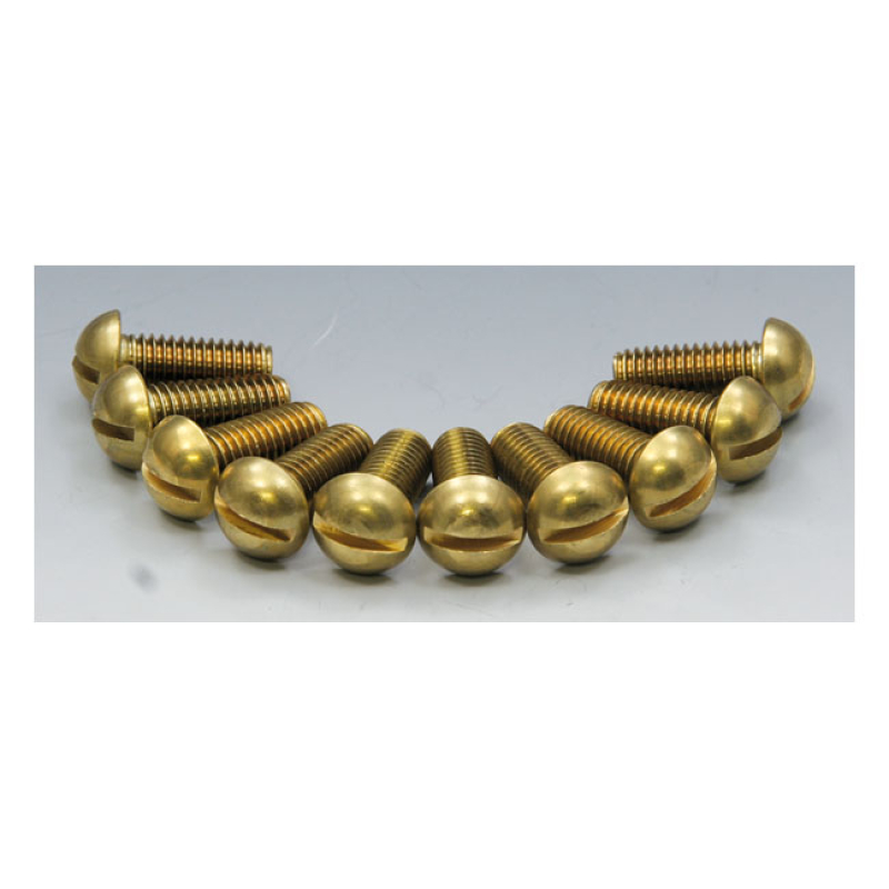 EASYRIDERS BRASS SLOTTED BOLT SET 961723