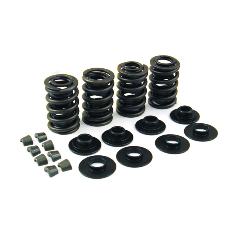 JIMS SPRING KIT .600'' LIFT /CHR.MOLY 978036