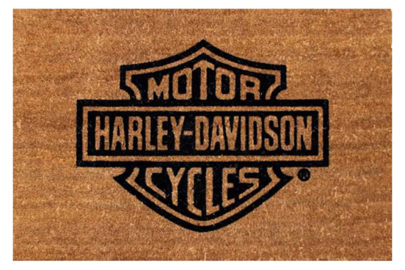 H-D OVIMATTO - B&S 99202-14V