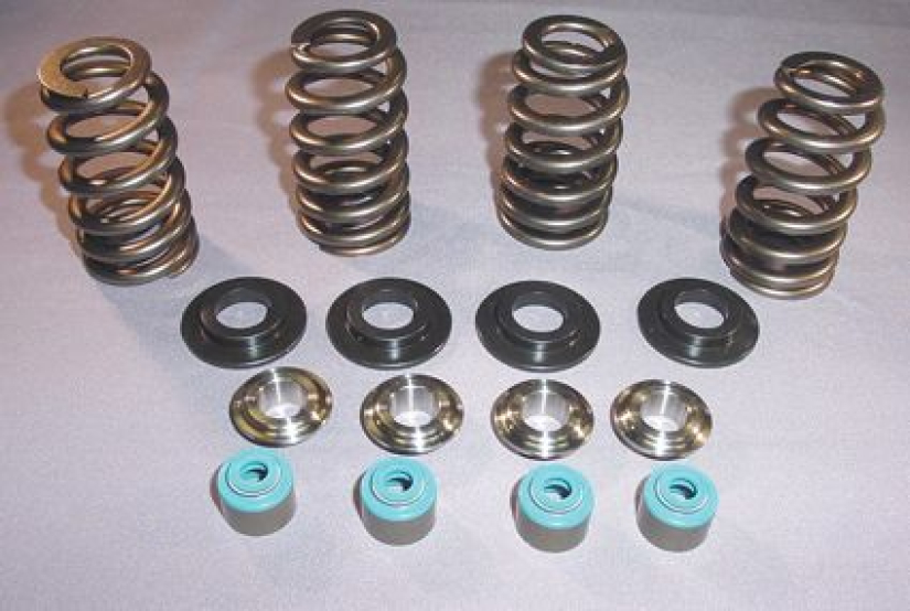 05 TC VALVE SPRING STL CLR 699242