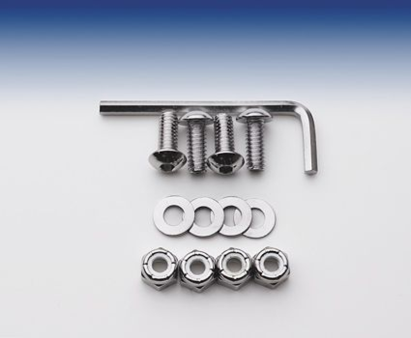 CHROME LICENSE BOLTS 4PK 19768