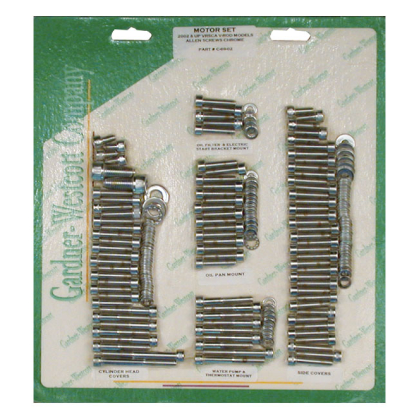 MOTOR SCREW SET, CHROME ALLEN  02-17 V-ROD (NU) 503101