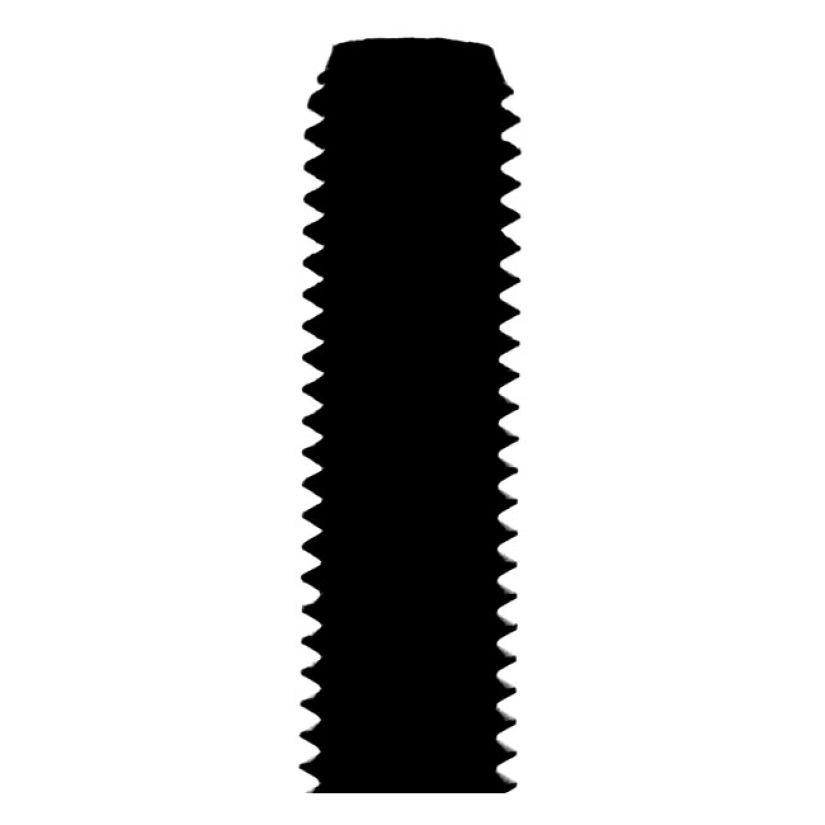 1/4-28 X 3/8 INCH ALLEN BOLT CHR. 511206