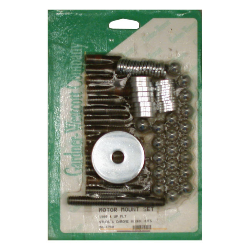 MOTOR MOUNT SCREW KIT, ACORN  99-06 FLT 513249