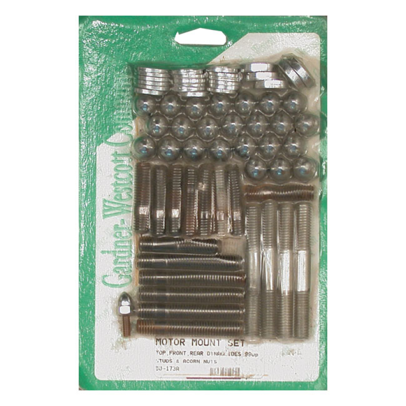 MOTOR MOUNT SCREW KIT, ACORN 99-06 DYNA (NU) 513250
