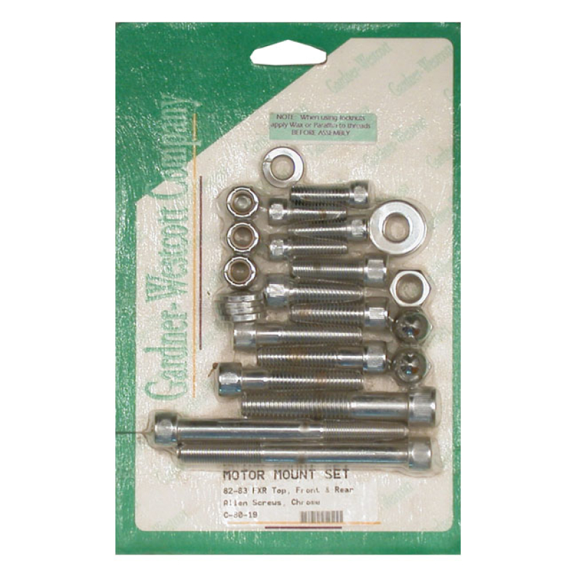 MOTOR MOUNT SCREW KIT, ALLEN 513253