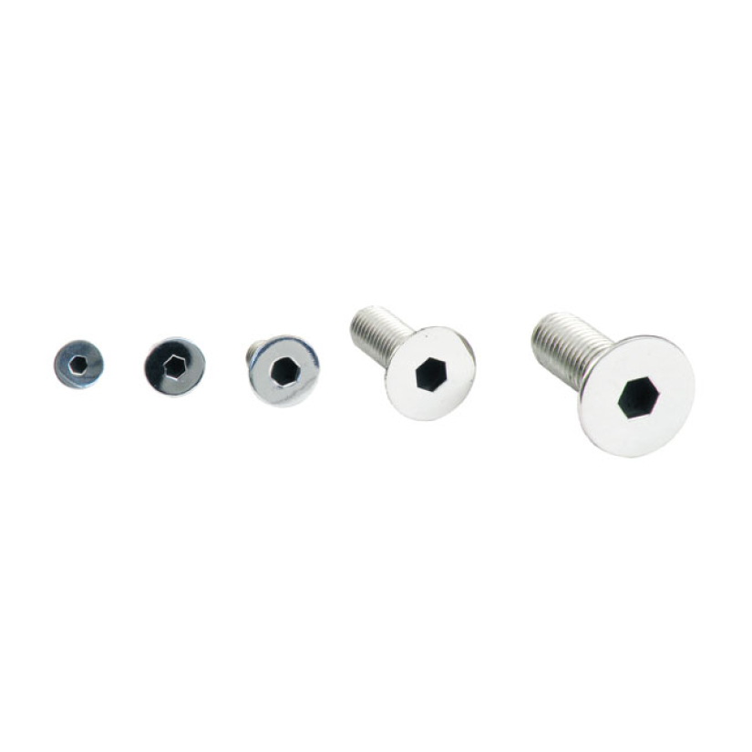 M10 X 30MM FLATHEAD ALLEN BOLT POL. SS 523746