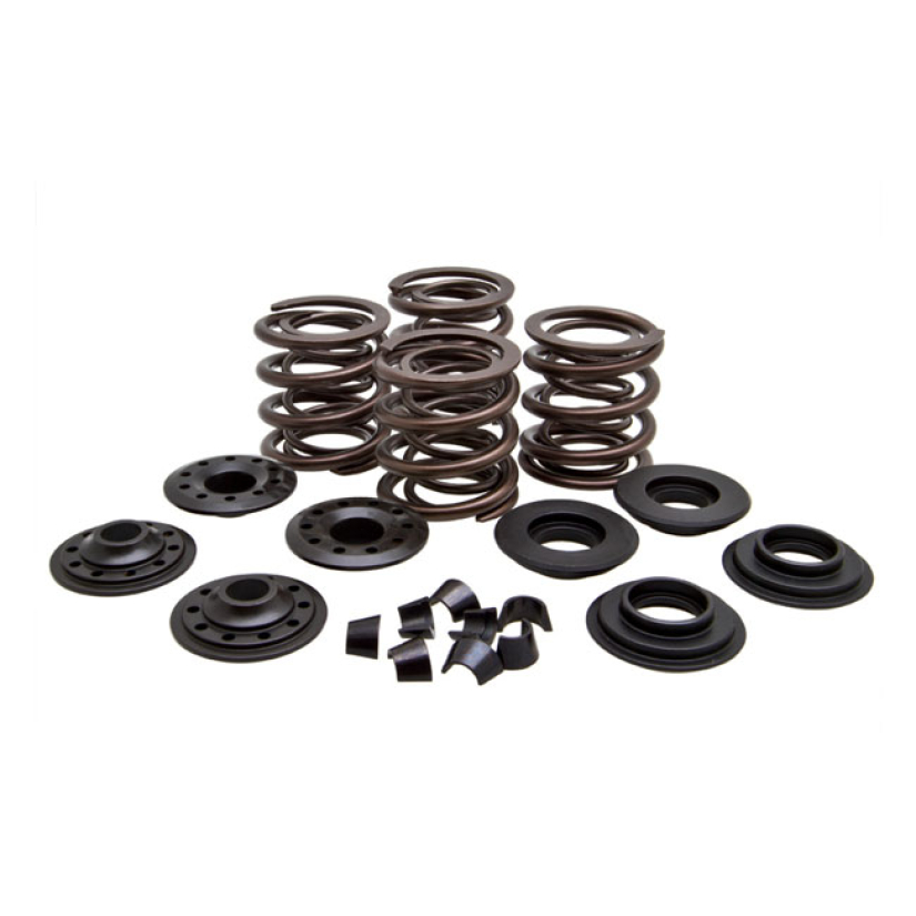 KPMI VALVE SPRING KIT .600 LIFT 524595