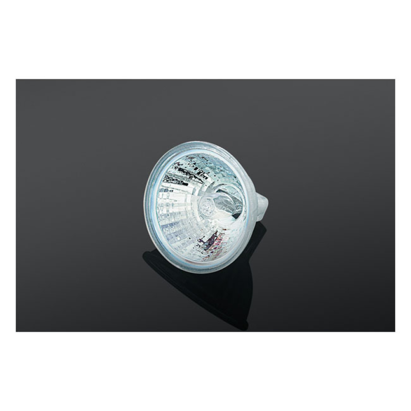 KURYAKYN LARGE 20 WATT HALOGEN BULB 544178