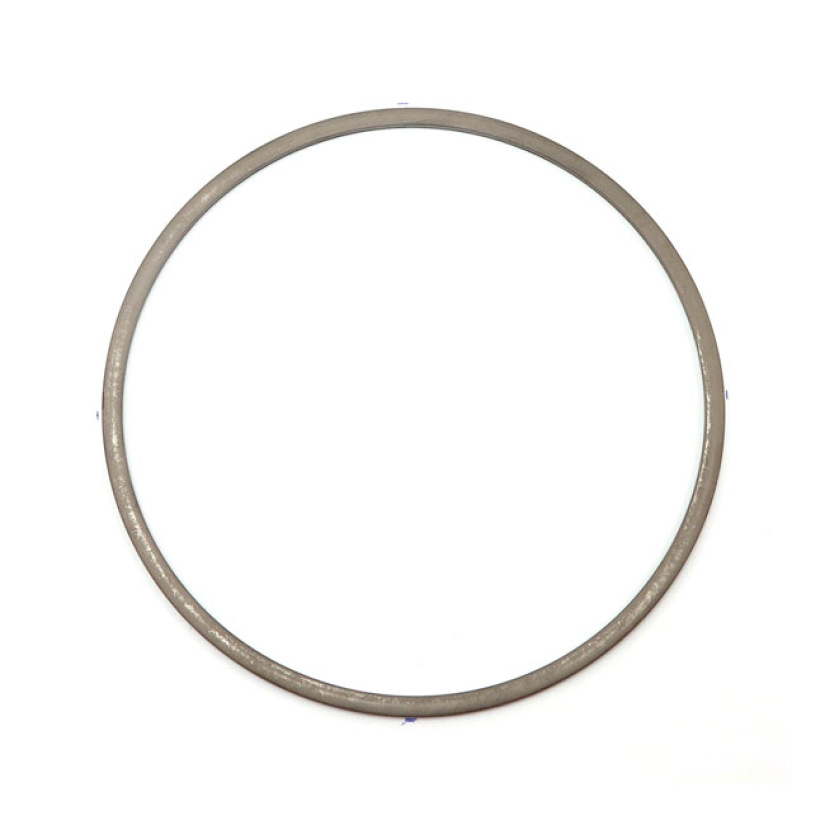 DAMPER SPRING, CLUTCH  19-24 FLT/TOURING 573704