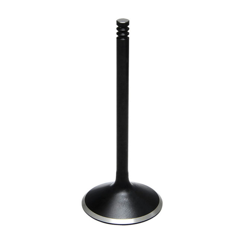 KPMI, BLACK DIAMOND VALVE, INTAKE. STD 588697
