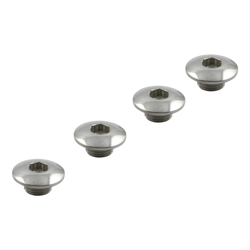 STREETHOGS, ROCKER SHAFT END PLUG SET 900873
