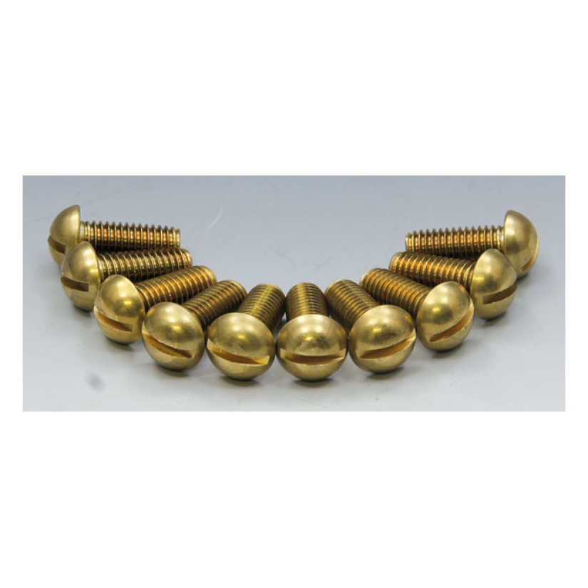 EASYRIDERS BRASS SLOTTED BOLT SET 961723